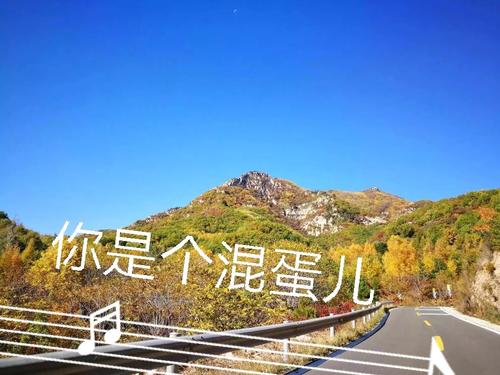 爷爷的风景