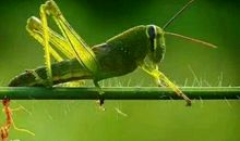 一次难忘的蜕变