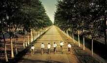 想念与你一起的时光