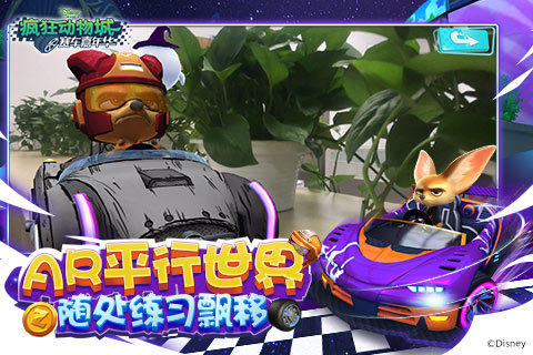 动物赛车