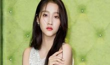 那场青春的追星