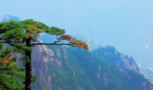 这里的风景