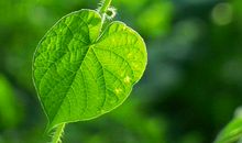 梦想·生命·价值