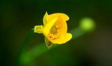 春天里的故事，真美