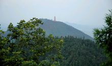 记东台山观察课