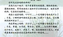 《雨儿》读后感