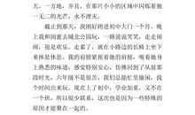 以看见为题的记叙文