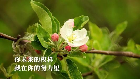 心中的幸福
