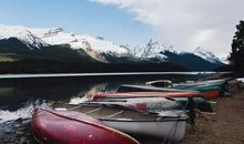 读懂那份份真心