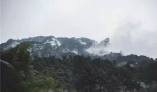 遥望青山多妩媚