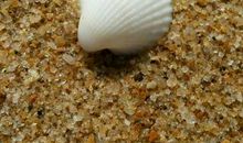 包容是一条五彩路