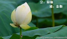 活在当下把握现在