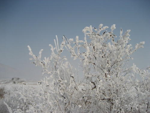 雪后场