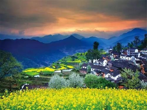 美丽的风景