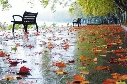 秋雨依然