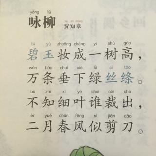 重写“柳树”