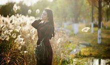 秋意微浅落叶未眠