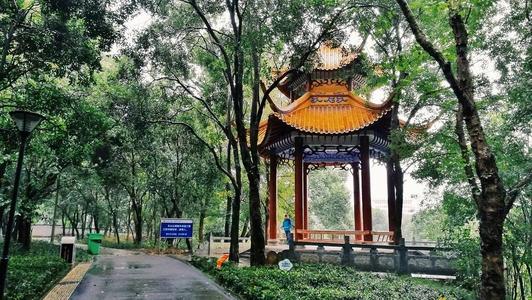 春天的东山公园