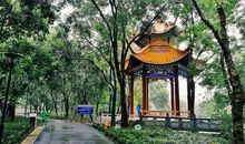 春天的东山公园