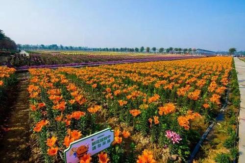 走进内百花园