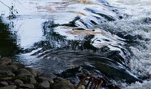 透视观己倚窗观景