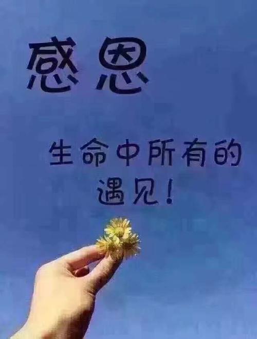 我父亲给我的全部