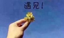 父亲给予我的全部