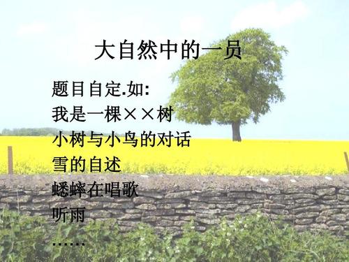 小树的自白