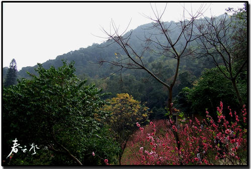 早春白云山