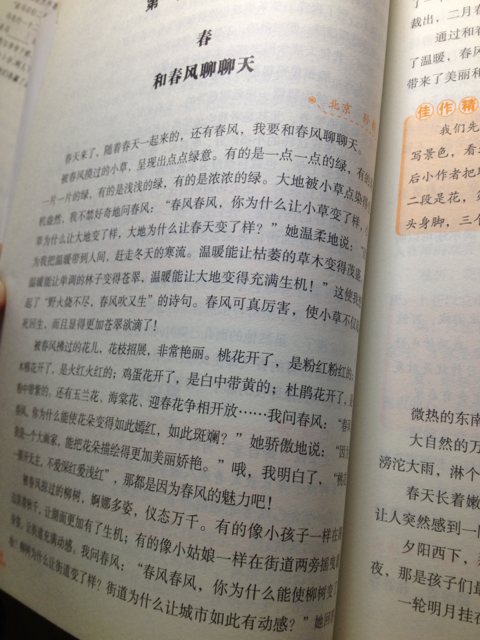 外观描述写400字