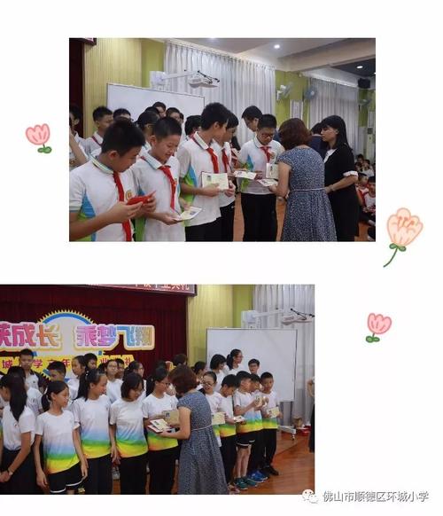 六年小学收获
