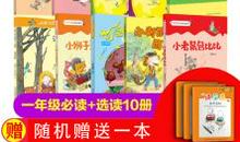 南瓜房子里的战争读后感