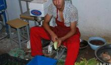 我的校园有苦也有乐