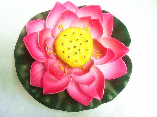 故乡的金莲花
