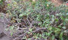 既开心又刺激的春游