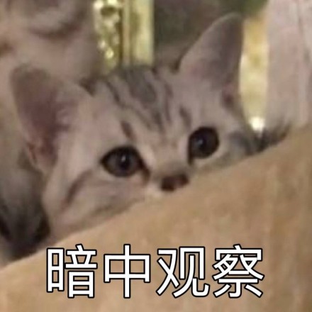 偷偷观察
