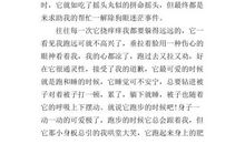 我最熟悉的小动物作文300字