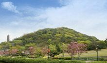 镇海招宝山之旅