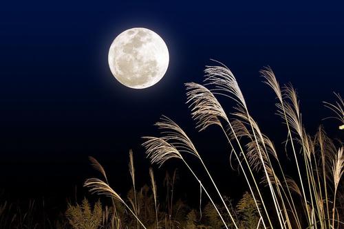 时间的低眼称为心灵