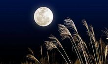 时光的低眸叫铭记