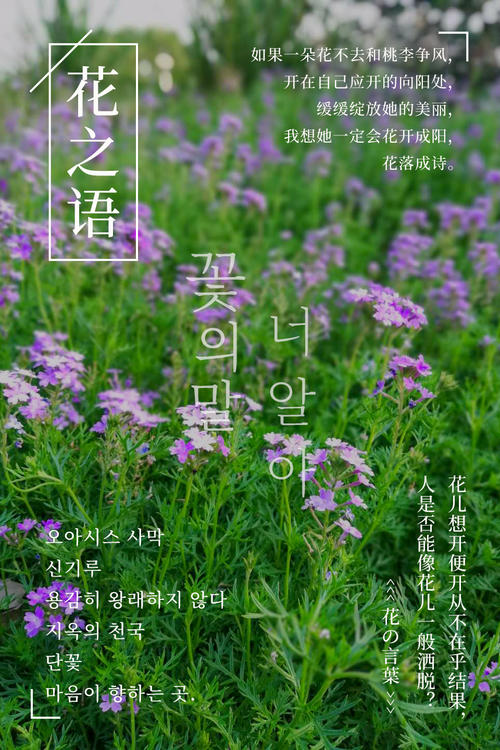 学会珍惜花朵