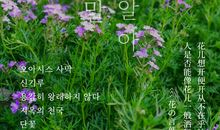 在花落中学会珍惜