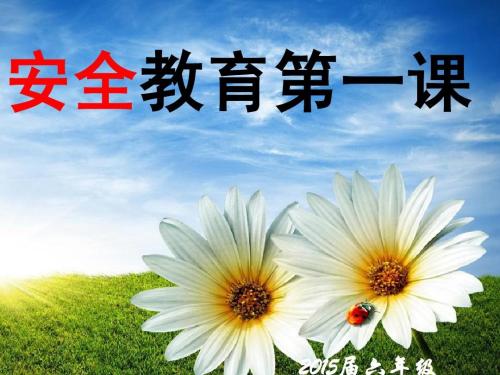 安全教育课
