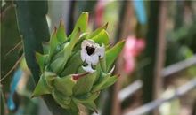 格言是盏指路的灯