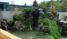 校园里的小水池