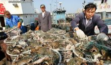 满载而归的采访