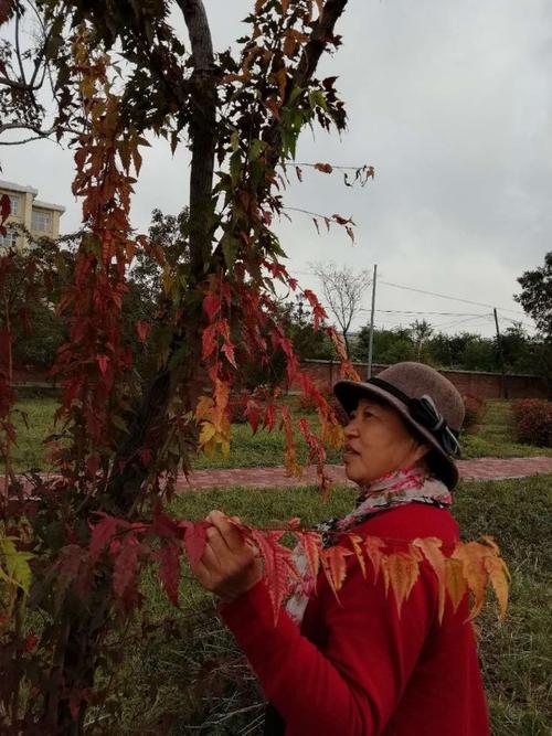 我很高兴娱乐自己