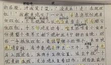 我的植物朋友作文300字左右