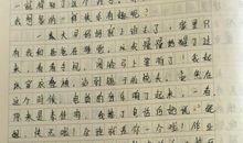 关于雪景的作文600字