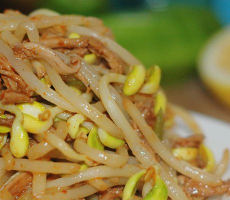 学习使豆芽